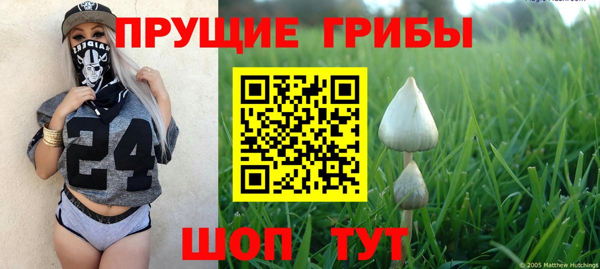 Псилоцибиновые грибы мухоморы Дзержинский